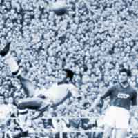 Copa do Mundo de 1958 na Suécia