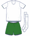 Uniforme 1 da seleção da Nigéria